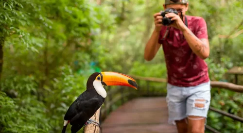 1 dia na natureza