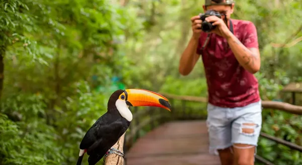 1 dia na natureza